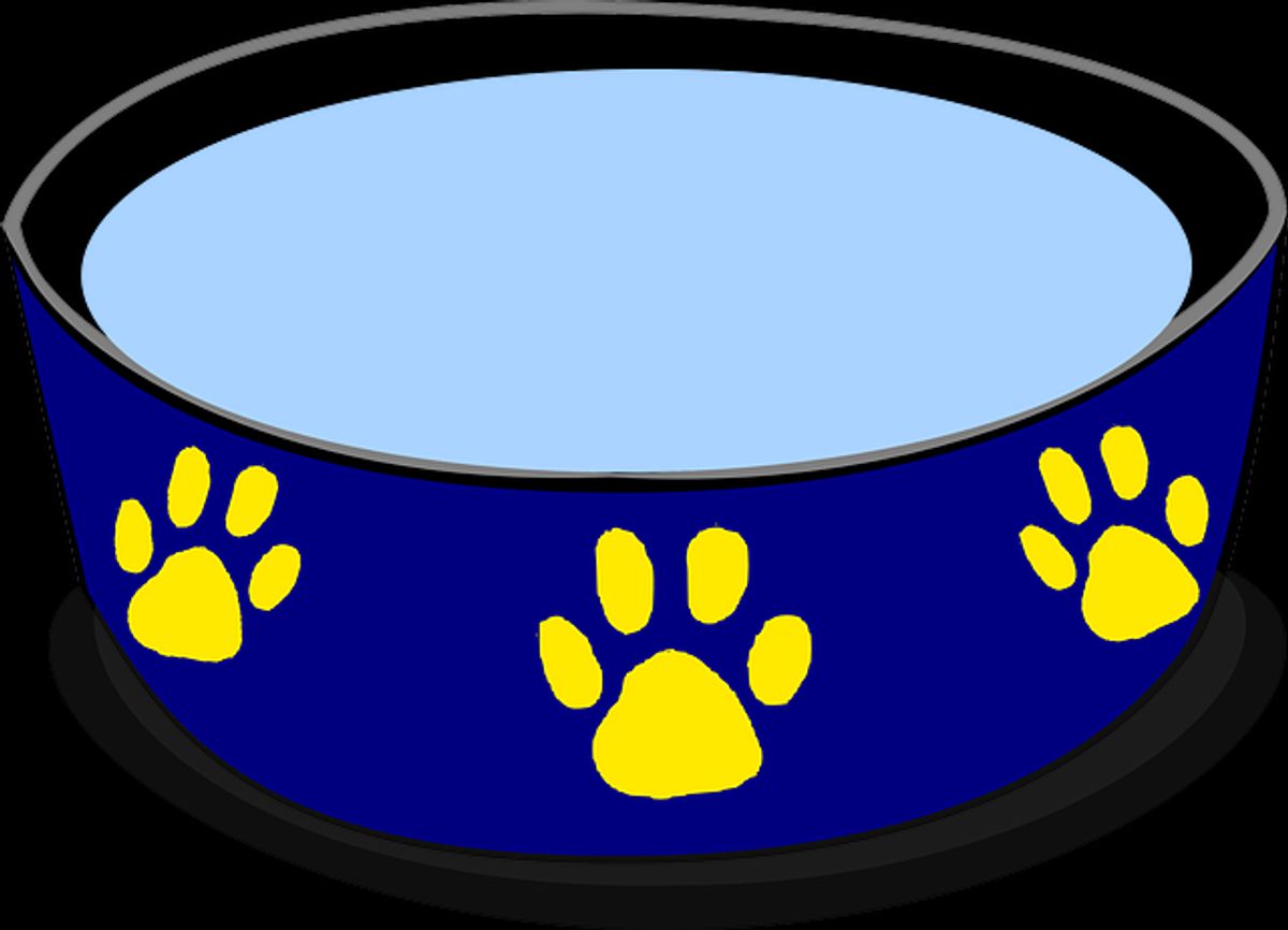 Abschlussgedanken: Nassfutter – Mehr als nur eine Mahlzeit