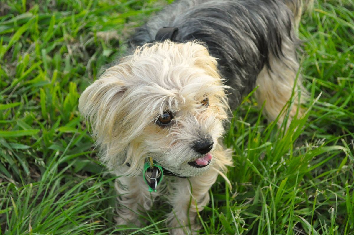 FAQs: Häufig gestellte Fragen rund um Transportboxen