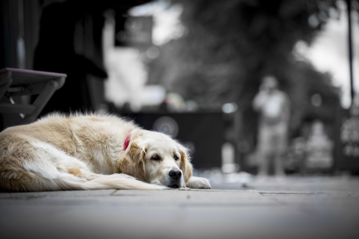 Nebenwirkungen und was man dagegen tun kann