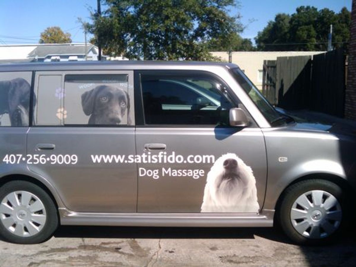 Die Kunst der Hundemassage