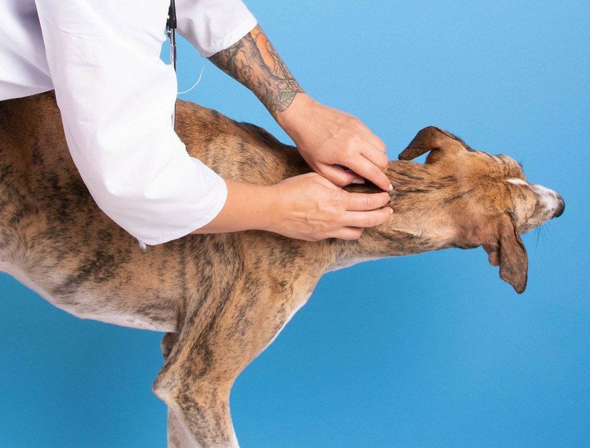 Die Chemiekeule: Wann sind Medikamente notwendig?