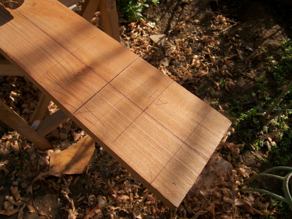 Das große Krabbeln: Weitere Parasiten im Überblick