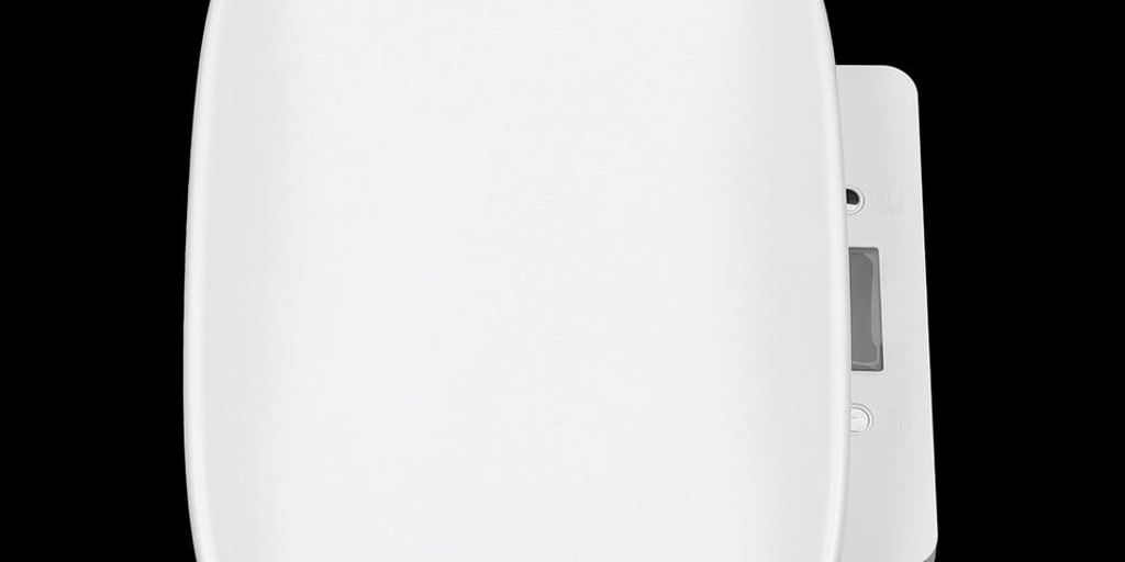 healthy dog weight scale