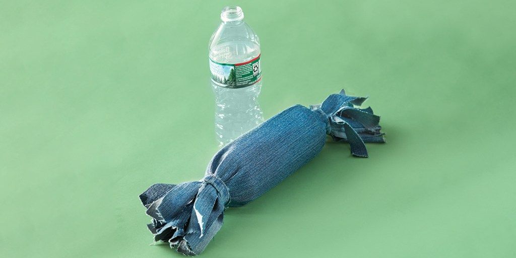 DIY dog toy plastic bottle