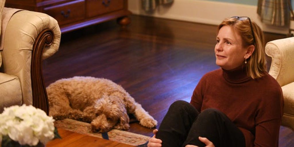 Hundeerziehungsbücher - dog whisperer training