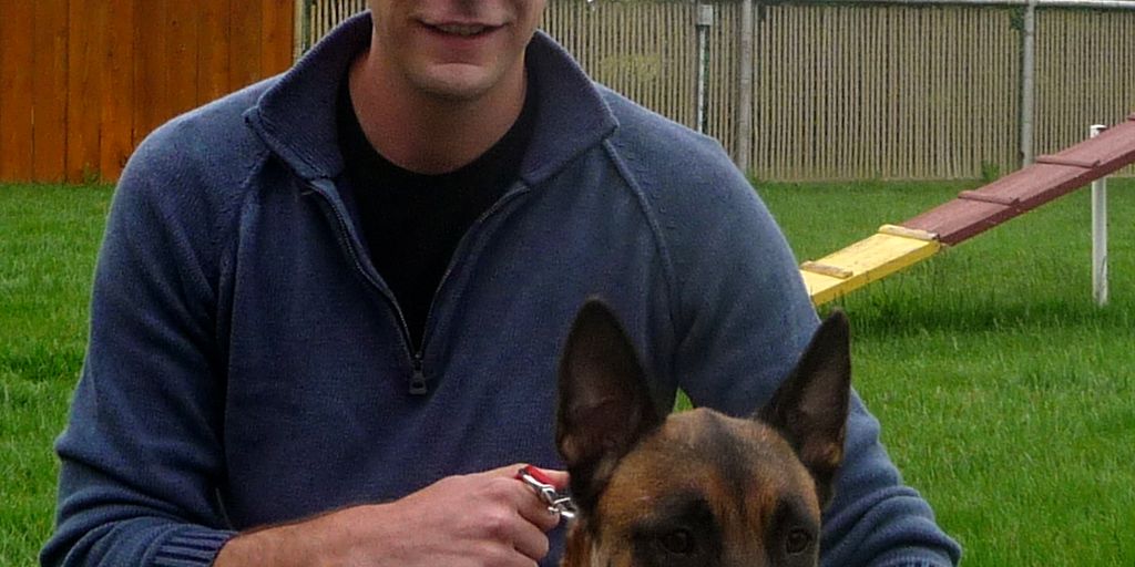 Hundetraining für Anfänger - puppy training