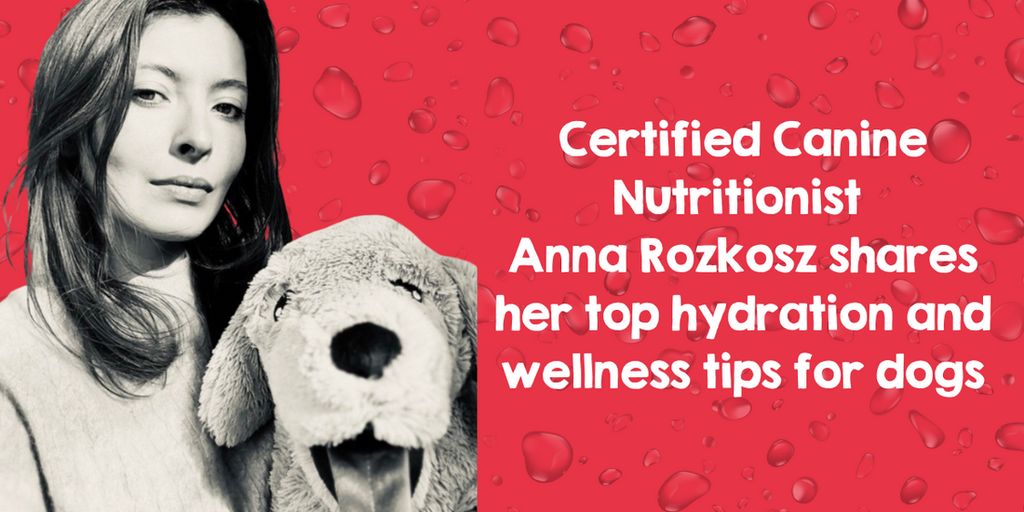 ausgewogene Ernährung - healthy dog food and water