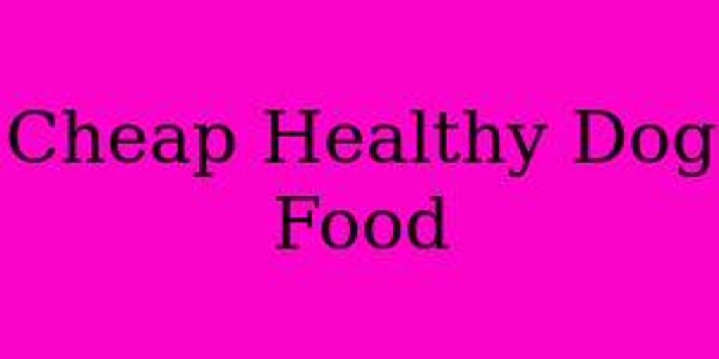 healthy dog food